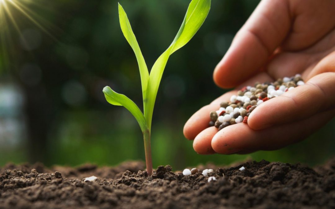 انواع کود های شیمیایی مناسب گل و گیاهان زینتی